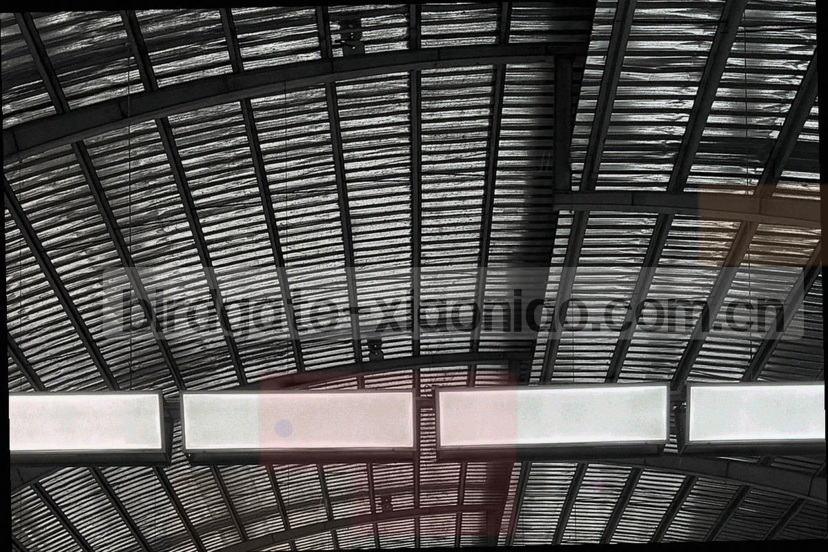 账户页服务清单界面局部特写，显示分组标题与条目行